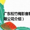廣東松竹梅影音制品有限公司（關于廣東松竹梅影音制品有限公司介紹）