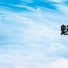 魅族17（魅妝結局）