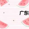 廣東村（關于廣東村介紹）