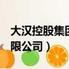 大漢控股集團有限公司ipo（大漢控股集團有限公司）