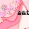 百蓮凱官網（百蓮凱怎么樣）