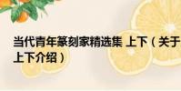 當代青年篆刻家精選集 上下(關于當代青年篆刻家精選集 上下介紹)