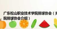 廣東松山職業技術學院排球協會(關于廣東松山職業技術學院排球協會介紹)