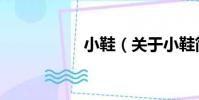 小鞋(關于小鞋簡介)