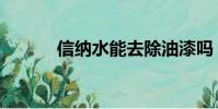 信納水能去除油漆嗎(信納水)