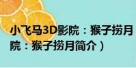 小飛馬3D影院:猴子撈月(關于小飛馬3D影院:猴子撈月簡介)