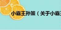 小霸王孫策(關于小霸王孫策簡介)