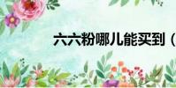 六六粉哪兒能買到(六六粉)