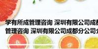 學有所成管理咨詢 深圳有限公司成都分公司(關于學有所成管理咨詢 深圳有限公司成都分公司介紹)
