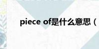 piece of是什么意思(piece縮寫)