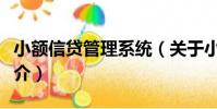 小額信貸管理系統(關于小額信貸管理系統簡介)