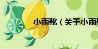 小雨靴(關于小雨靴簡介)