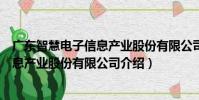 廣東智慧電子信息產業股份有限公司(關于廣東智慧電子信息產業股份有限公司介紹)