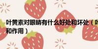 葉黃素對眼睛有什么好處和壞處(葉黃素對眼睛有什么好處和作用)