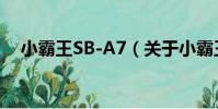 小霸王SB-A7(關于小霸王SB-A7簡介)