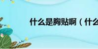 什么是胸貼啊(什么是胸貼)