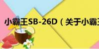 小霸王SB-26D(關于小霸王SB-26D簡介)