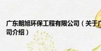 廣東朗旭環保工程有限公司(關于廣東朗旭環保工程有限公司介紹)