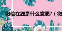 微信在線是什么意思?(微信在線是什么意思)