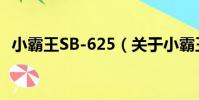 小霸王SB-625(關于小霸王SB-625簡介)