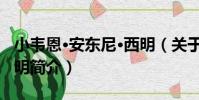 小韋恩·安東尼·西明(關于小韋恩·安東尼·西明簡介)