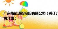 廣東核能通投控股有限公司(關于廣東核能通投控股有限公司介紹)