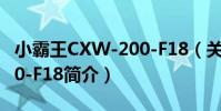 小霸王CXW-200-F18(關于小霸王CXW-200-F18簡介)