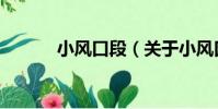 小風口段(關于小風口段簡介)