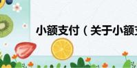 小額支付(關于小額支付簡介)