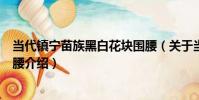 當代鎮寧苗族黑白花塊圍腰(關于當代鎮寧苗族黑白花塊圍腰介紹)