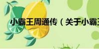 小霸王周通傳(關于小霸王周通傳簡介)
