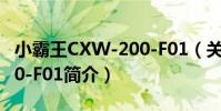 小霸王CXW-200-F01(關于小霸王CXW-200-F01簡介)