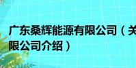 廣東桑輝能源有限公司(關于廣東桑輝能源有限公司介紹)