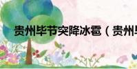 貴州畢節突降冰雹(貴州畢節突降冰雹)