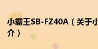 小霸王SB-FZ40A(關于小霸王SB-FZ40A簡介)
