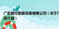 廣東智灶廚房設備有限公司(關于廣東智灶廚房設備有限公司介紹)