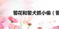 警花和警犬抓小偷(警花和警犬)