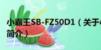 小霸王SB-FZ50D1(關于小霸王SB-FZ50D1簡介)