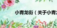小青龍街(關于小青龍街簡介)