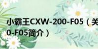 小霸王CXW-200-F05(關于小霸王CXW-200-F05簡介)