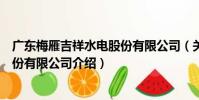 廣東梅雁吉祥水電股份有限公司(關于廣東梅雁吉祥水電股份有限公司介紹)