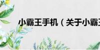 小霸王手機(關于小霸王手機簡介)
