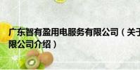 廣東智有盈用電服務有限公司(關于廣東智有盈用電服務有限公司介紹)