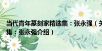 當代青年篆刻家精選集:張永強(關于當代青年篆刻家精選集:張永強介紹)