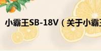 小霸王SB-18V(關于小霸王SB-18V簡介)