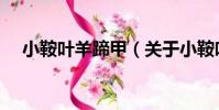 小鞍葉羊蹄甲(關于小鞍葉羊蹄甲簡介)
