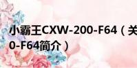 小霸王CXW-200-F64(關于小霸王CXW-200-F64簡介)