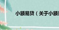 小額易貸(關于小額易貸簡介)