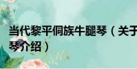 當代黎平侗族牛腿琴(關于當代黎平侗族牛腿琴介紹)