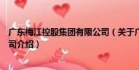 廣東梅江控股集團有限公司(關于廣東梅江控股集團有限公司介紹)